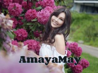 AmayaMay