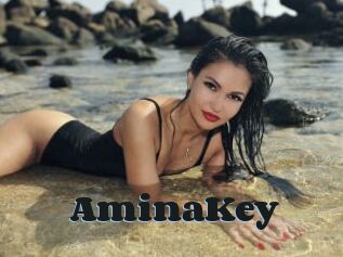 AminaKey