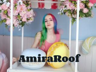 AmiraRoof