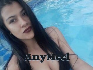 AnyMeel