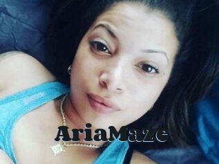 Aria_Maze