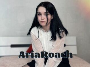 AriaRoach