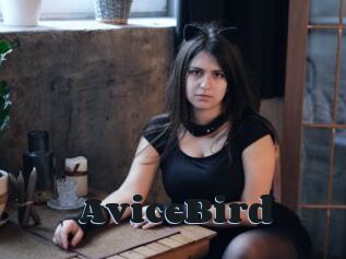 AviceBird