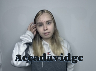 Accadavidge