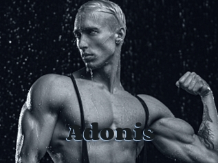 Adonis_