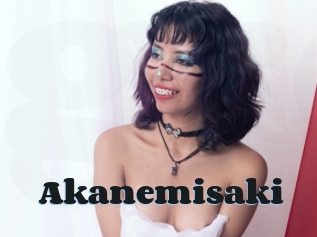 Akanemisaki