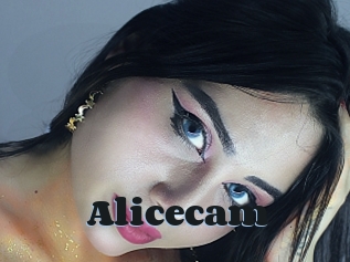 Alicecam