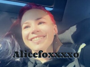 Alicefoxxxxo