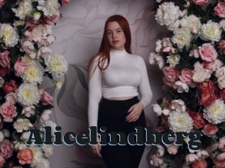 Alicelindberg