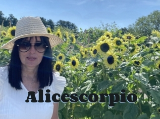 Alicescorpio