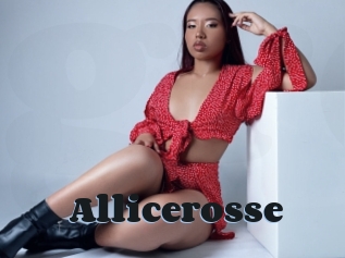 Allicerosse