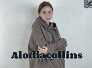 Alodiacollins