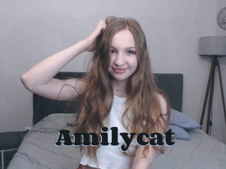 Amilycat