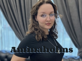 Aminaholms