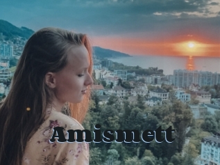 Amismett