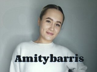 Amitybarris