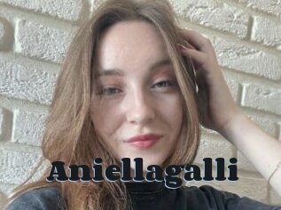 Aniellagalli