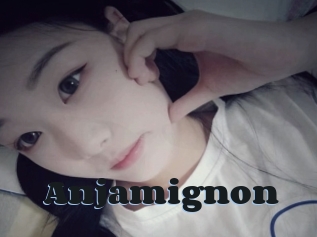 Anjamignon