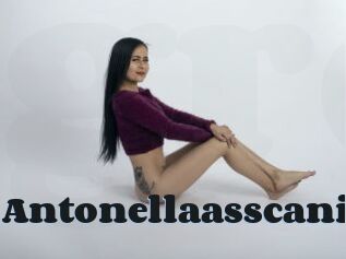 Antonellaasscani