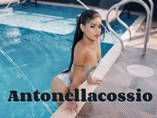 Antonellacossio