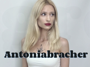 Antoniabracher