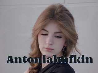 Antoniabufkin