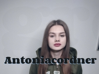 Antoniacordner