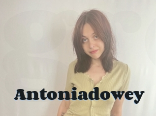 Antoniadowey