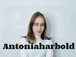 Antoniaharbold