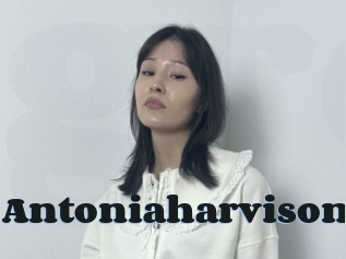 Antoniaharvison