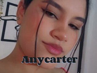 Anycarter