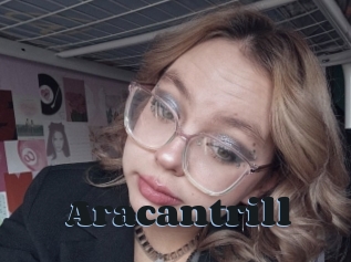 Aracantrill