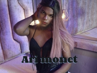 Ari_monet