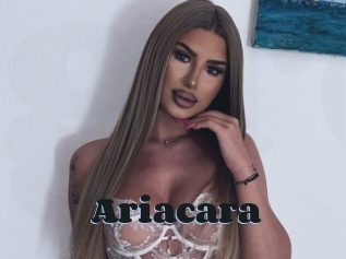 Ariacara