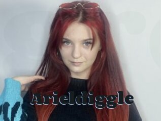 Arieldiggle