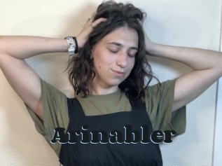 Arinabler