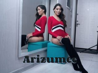 Arizumee