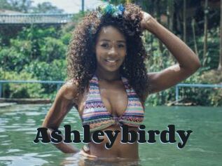 Ashleybirdy