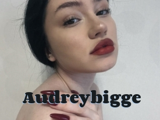 Audreybigge