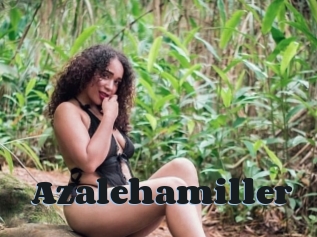 Azalehamiller