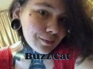 Buzz_Cat