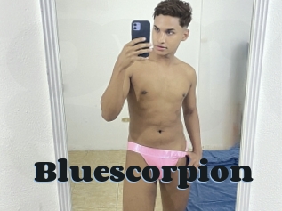 Bluescorpion