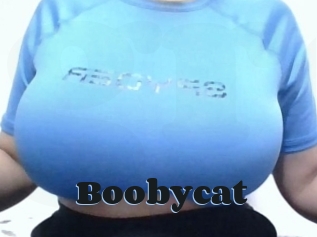 Boobycat