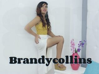 Brandycollins