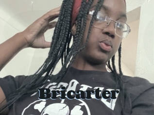 Bricarter