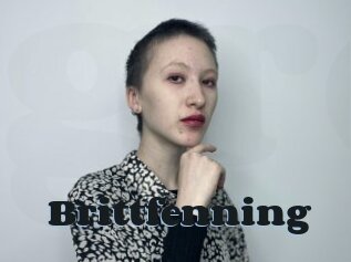 Brittfenning