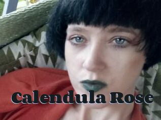Calendula_Rose