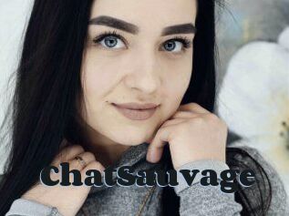 ChatSauvage