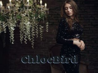 ChloeBird