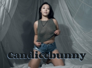 Candicebunny